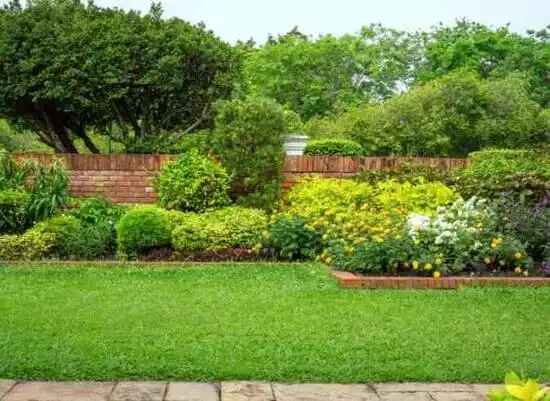 landscaping services Albertville